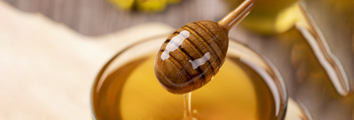 Honig-aus-unsere-Imkerei-apisfarm.de Apisfarm Imkerei