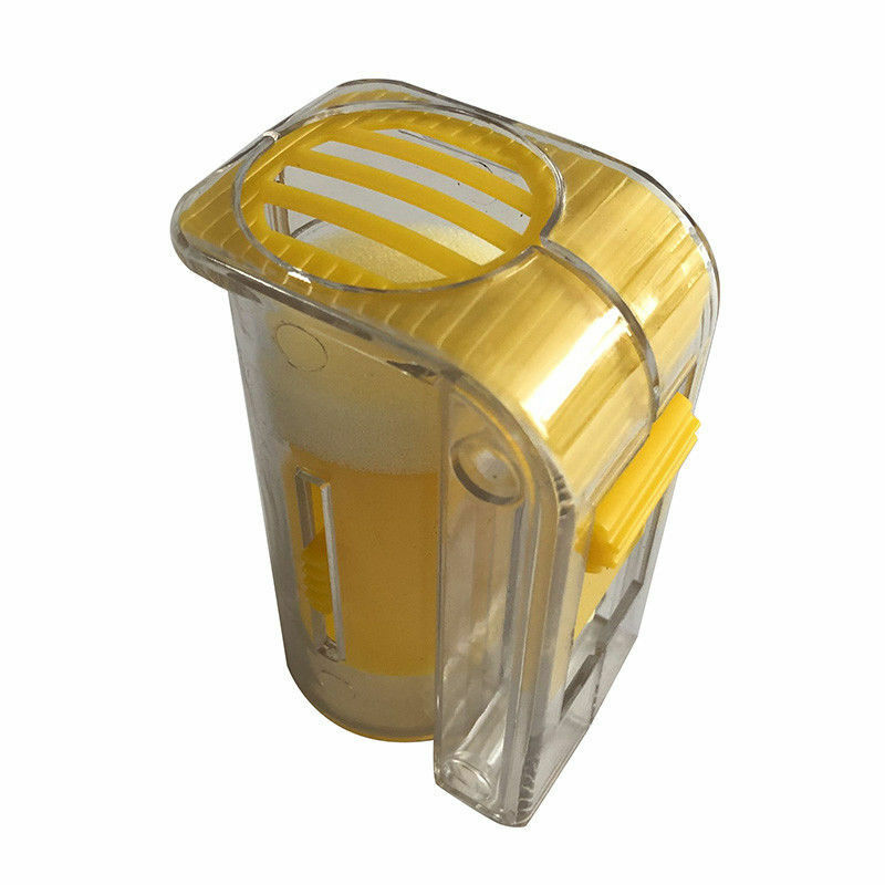 Einhand Königin Zeichengerät