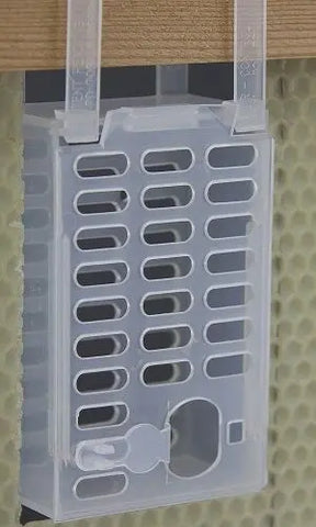 Var-Control Käfig für Bienenkönigin – effektive Varroa-Kontrolle