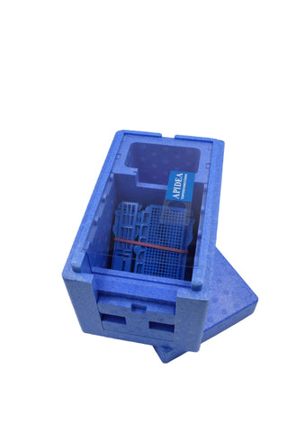 Apidea begattungskästchen blau