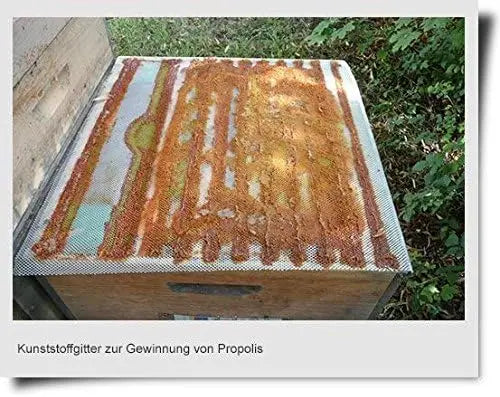 Propolisgitter für Zander, DNM & Langstroth – Optimale Propolisernte in der Imkerei