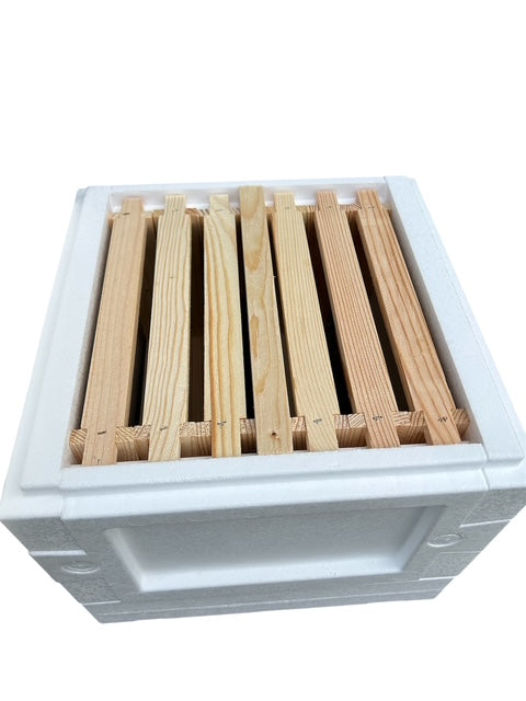 Mini Plus Styropor Beute mit  6 Rahmen, Trennschied– Boden mit Alu-Lüftungsgitter & 2 Fluglöchern (Kopie) Apisfarm Imkerei