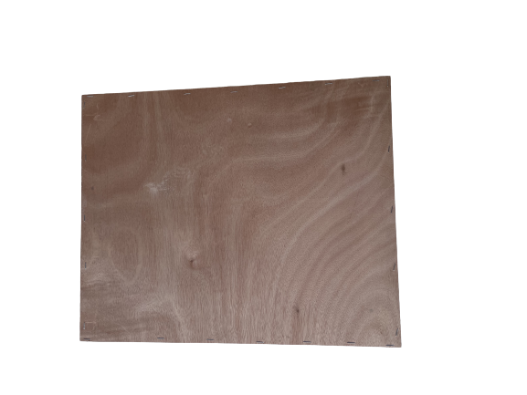 Innendeckel Zander Dr Liebig Beute