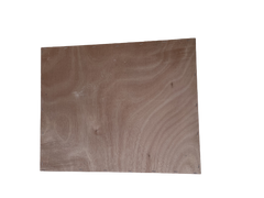 DN Beute Dr. Liebig mit 30 gedrahteten Rähmchen – hochwertige Bienenbeute aus Weymouthskiefer von Apisfarm