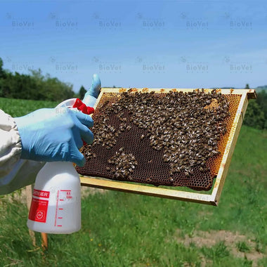 Sprühflasche Foxy Plus für Varroa-Behandlung in der Imkerei – Apisfarm